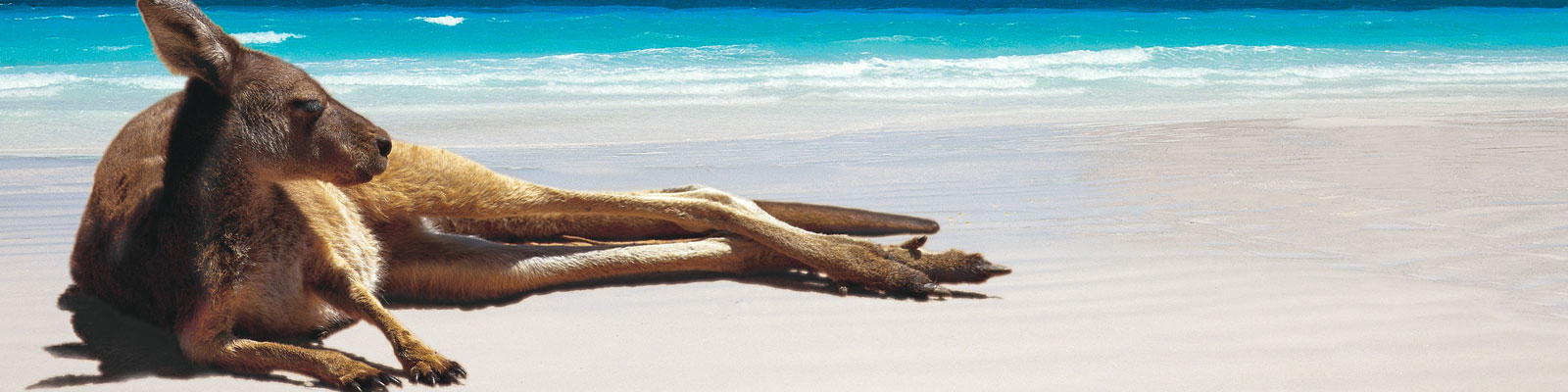 Australia Vacation, Travel & Tour, Luxury Trip Australia: BlueWorld