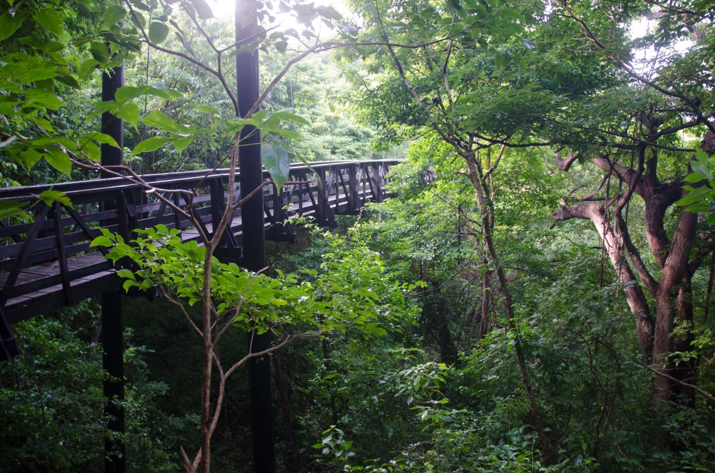 Luxury-Travel-Family-Nature-Tour-Nicaragua-Hotels-Ecolodge-Barefoot-Luxury-Morgans Rock-Suspension Bridge