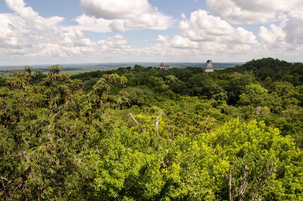 mayan temples in central america