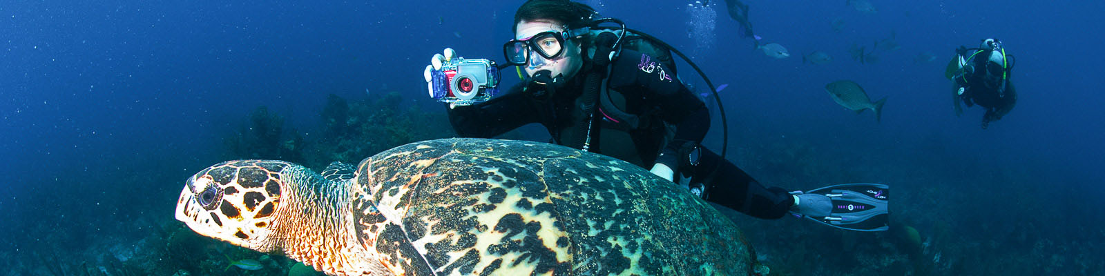 Reefs Ruins and Rainforest Scuba Travel Vacation Tour