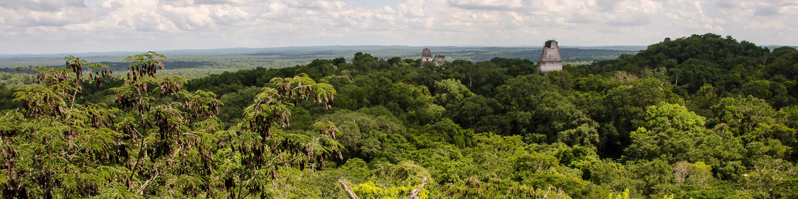 Guatemala Jungle Travel Vacation Tour