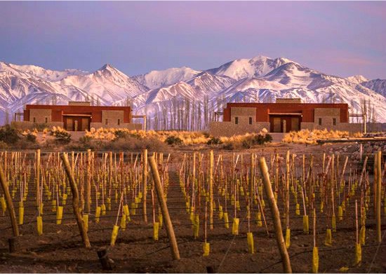 Insider’s Guide to Mendoza and Argentina’s Wine Capital