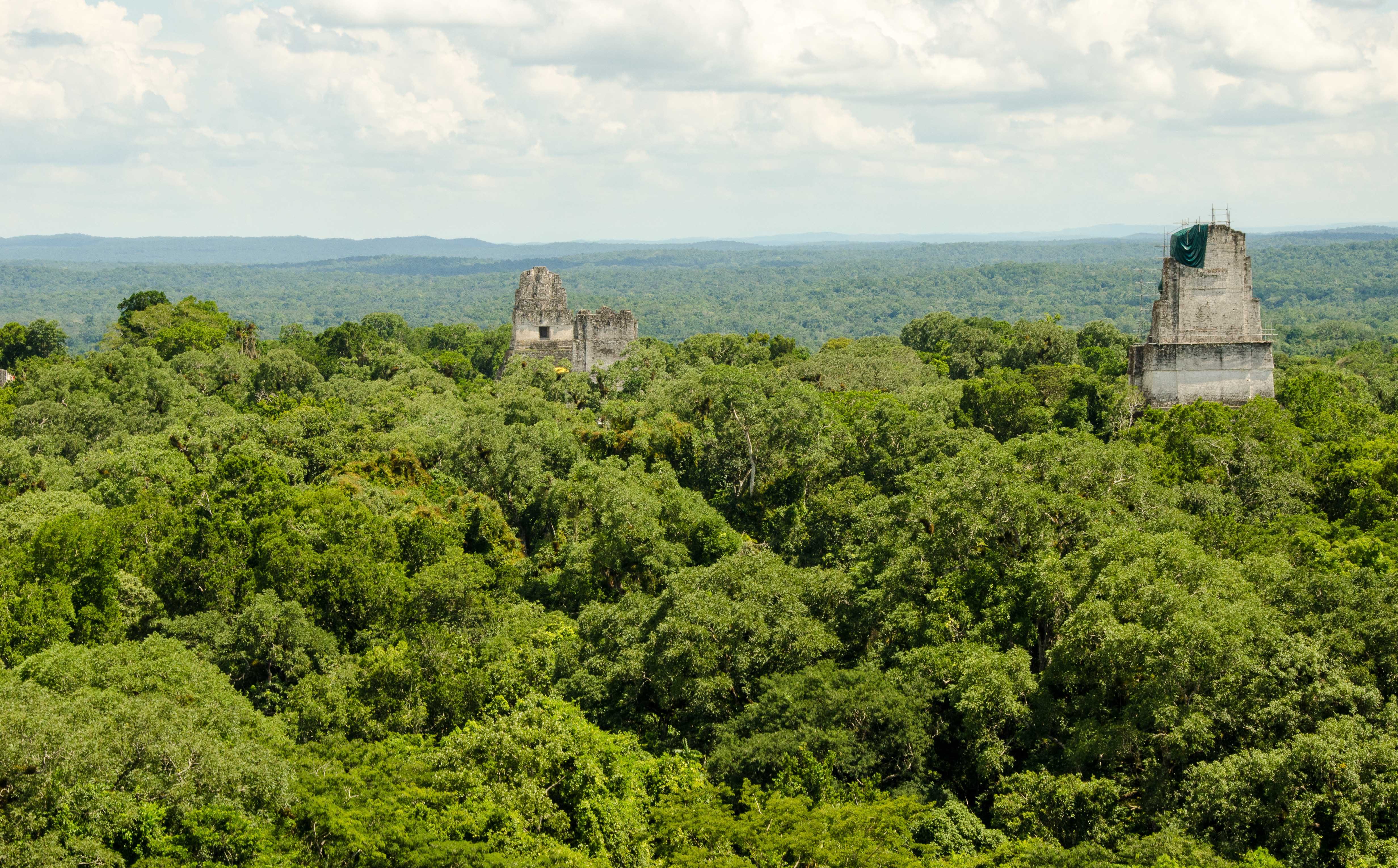 Postcards from… Tikal, Guatemala